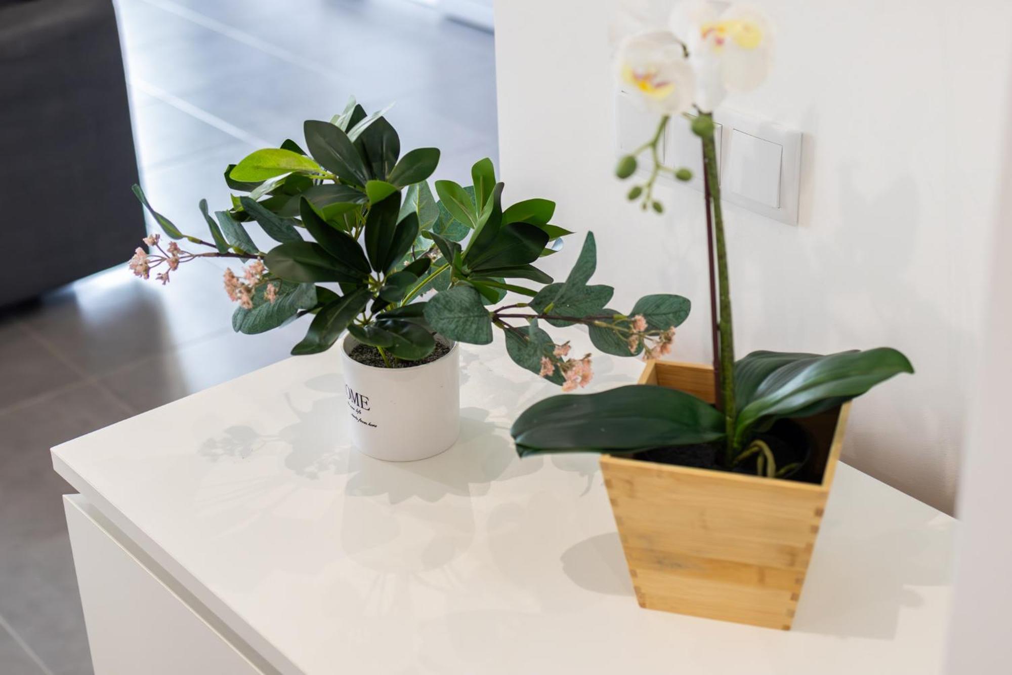 Mar T2 Apartment *